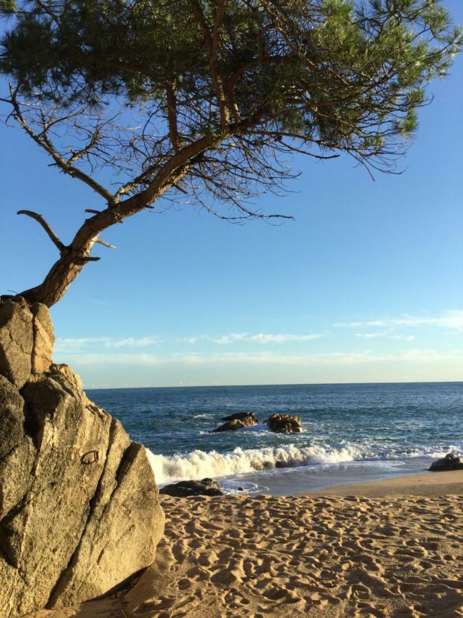 Politur Lägenhet Platja d'Aro Exteriör bild