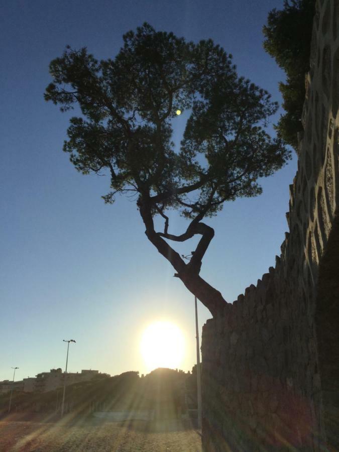 Politur Lägenhet Platja d'Aro Exteriör bild
