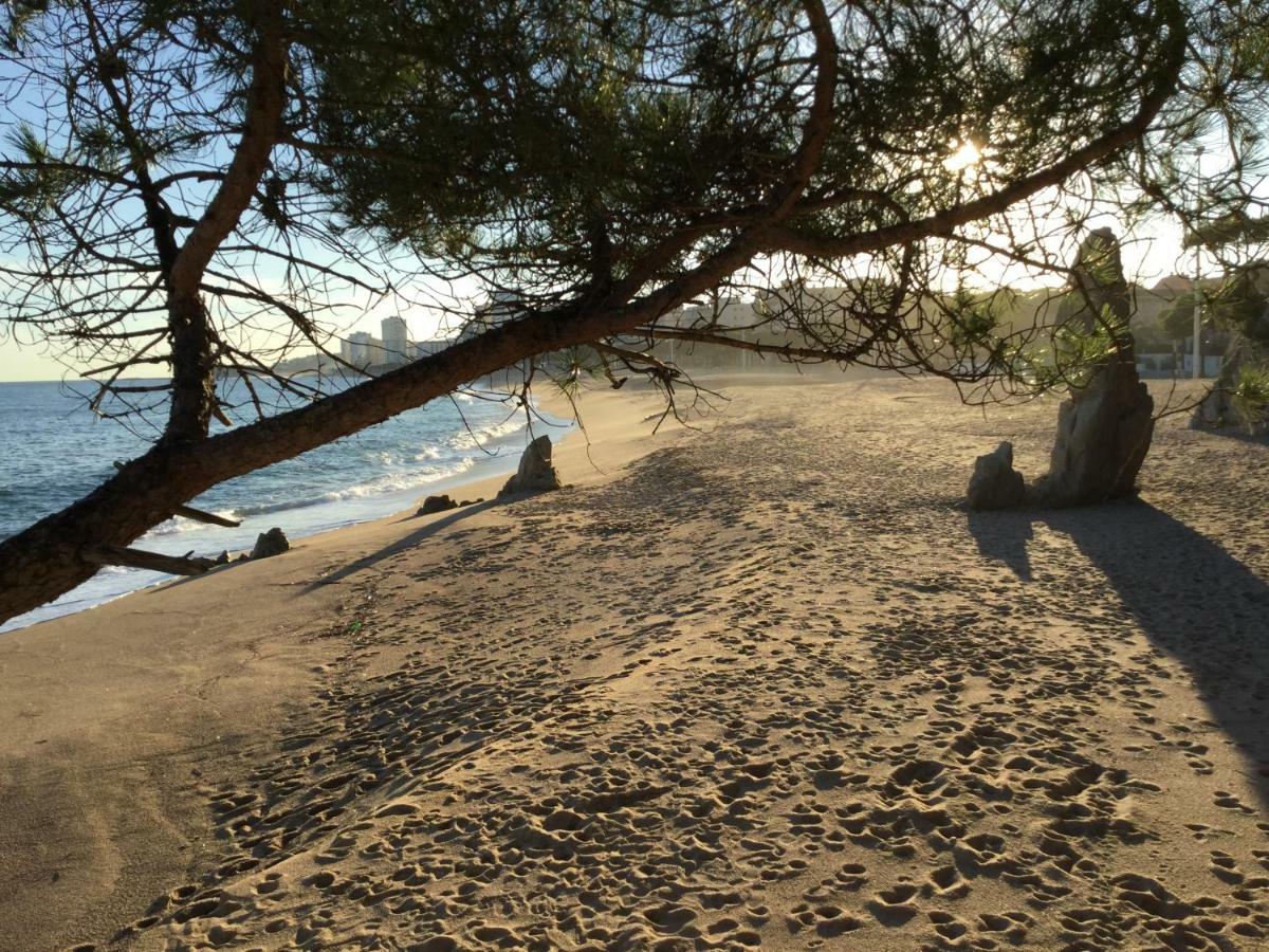 Politur Lägenhet Platja d'Aro Exteriör bild